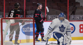 Game Day- Senators Look to MULCH Leaves in Toronto