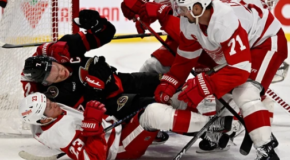 Game Day – Senators Host Red Wings on Monday Night