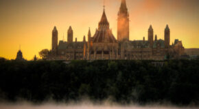 X – Ottawa Senators