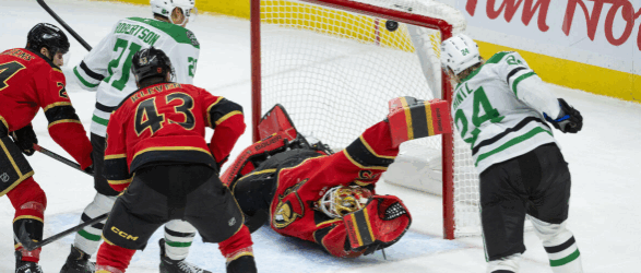Senators Fall to Stars in Overtime