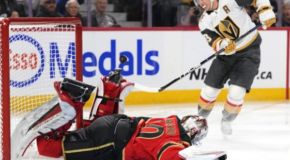 Senators Demolish Golden Knights on Home Ice