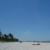 Profile picture of Floridasensfan