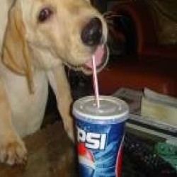 Profile picture of AussieSen