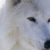 Profile picture of SenSitivity Unknown
