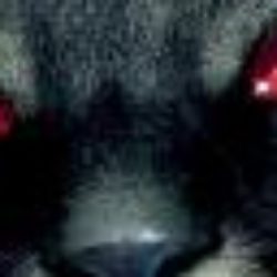 Profile picture of Manuel